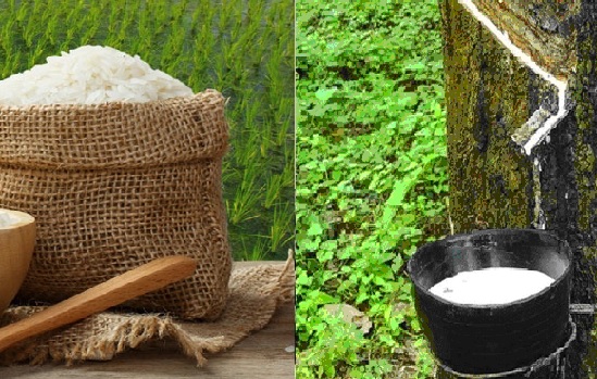 Iran muốn mua cao su, nhập khẩu thêm gạo của Việt Nam 